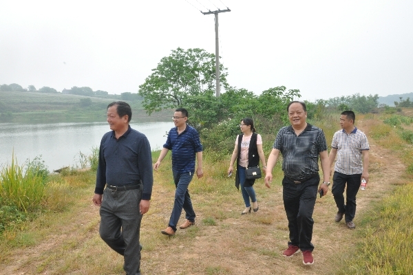 DSC_1511_副本.jpg