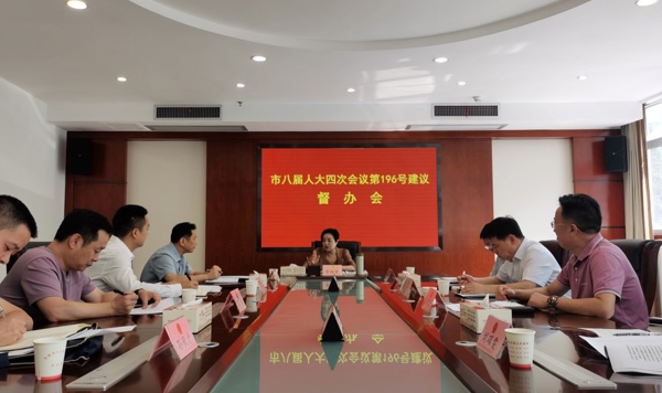 李绍霞专题督办重点处理建议