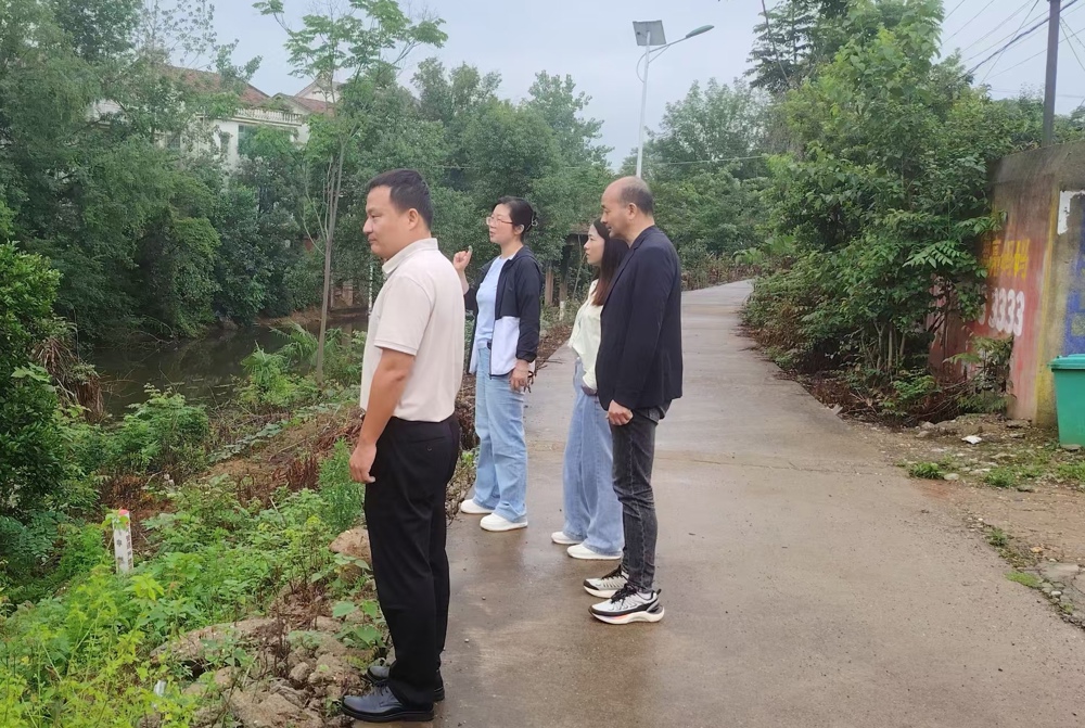 区人大代表到村视察调研现场
