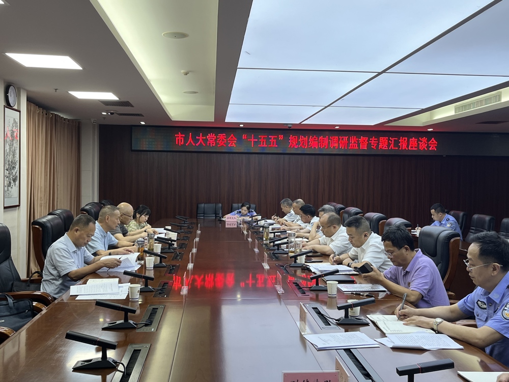 廖可元主任十五五会议