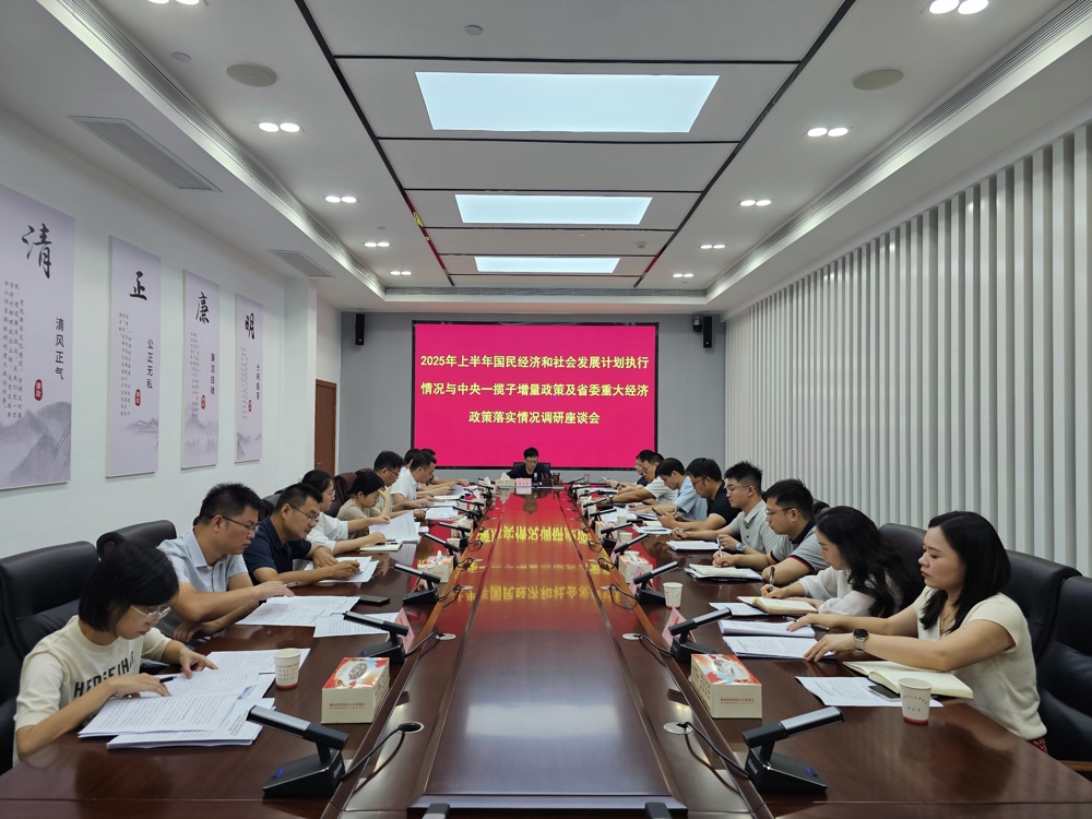 李育智出席2025年上半年计划执行与中央一揽子增量政策及省委重大经济政策落实情况调研座谈会