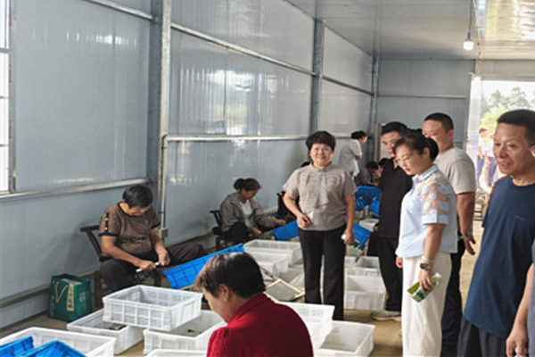 f9663284-188e-4c7c-859a-f7cf576ce072_副本