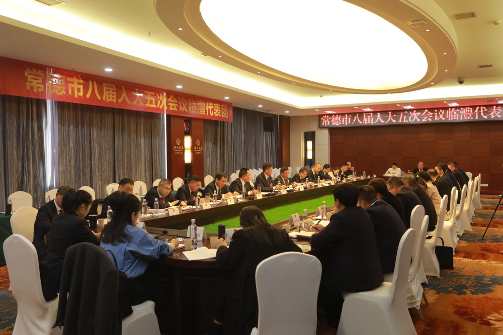 临澧代表团审议现场
