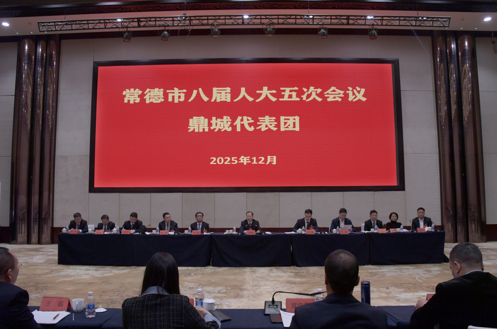 周振宇参加常德市八届人大五次会议鼎城代表团审议2