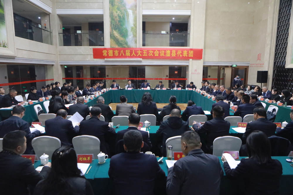 澧县代表团审议现场