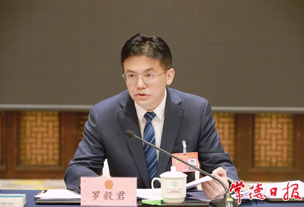 常德代表团省人大代表履职风采（四）