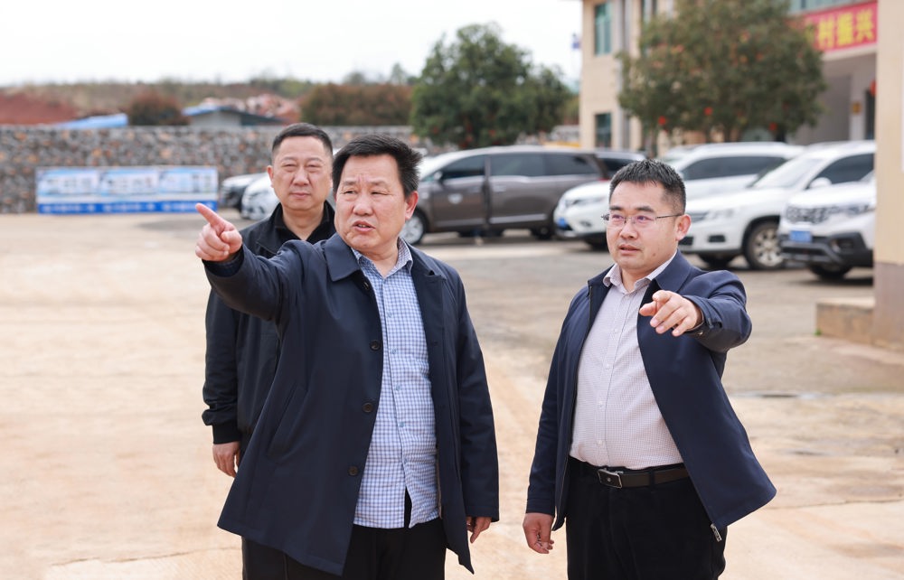 石玉林赴鼎城、安乡调研春耕备耕及农产品加工产业发展情况