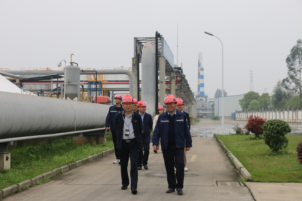 呙滨辰一行走访调研海利常德公司