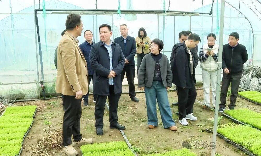 微信图片_20260413104416