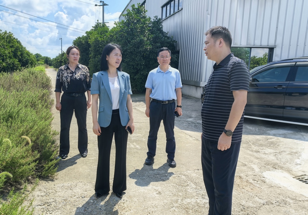 鲁晓凤率队开展中医药产业发展工作调研