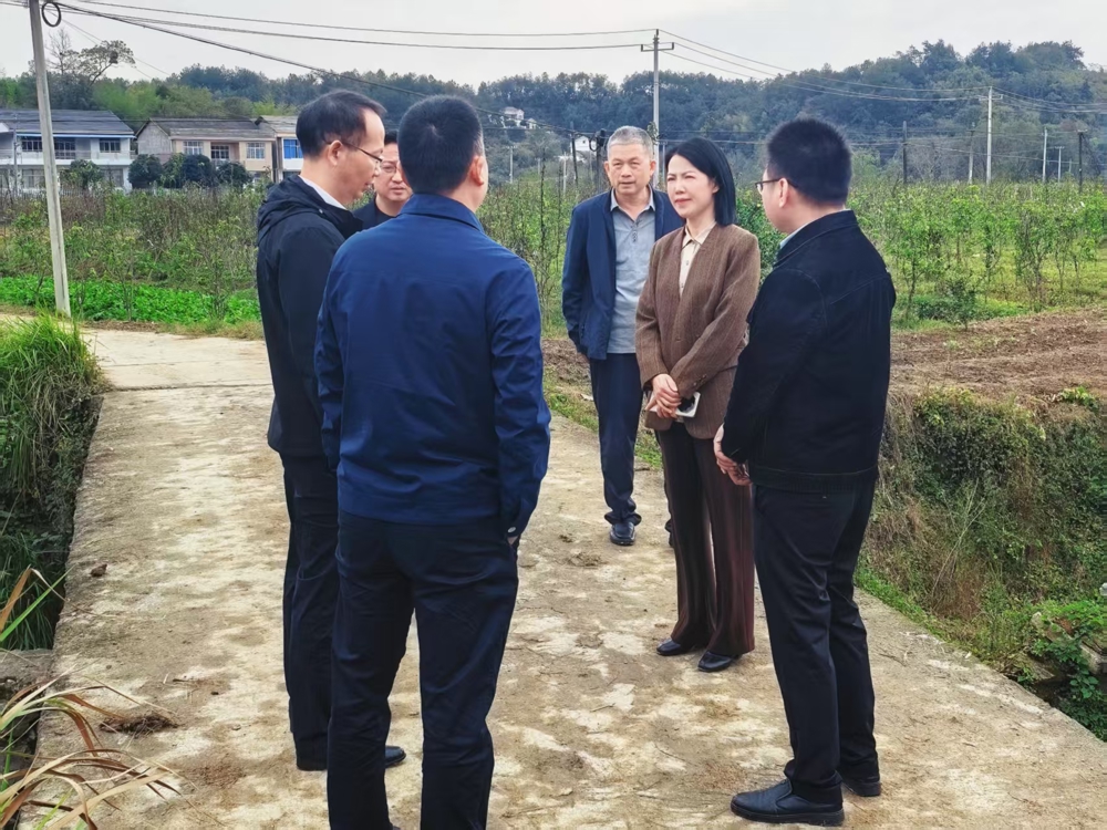 鲁晓凤赴桃源县岩桥坪村调研乡村振兴工作