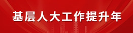 基层人大工作提升年