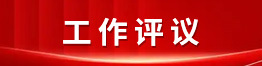 工作评议