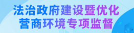 法治政府建设暨优化营商环境专项监督