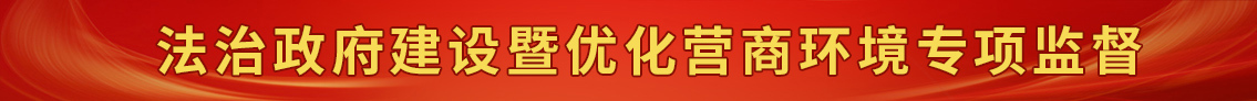 法治政府建设暨优化营商环境专项监督